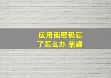 应用锁密码忘了怎么办 荣耀